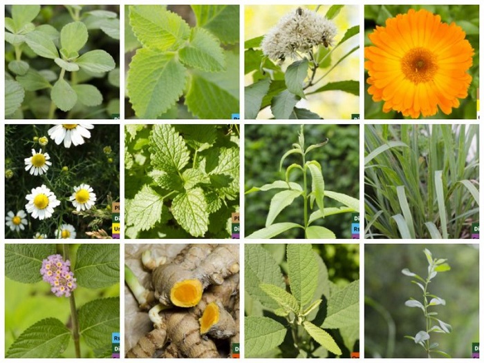 AÇÃO SOFTWARE OFF GRATUÍTO Nº 003